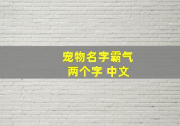 宠物名字霸气 两个字 中文